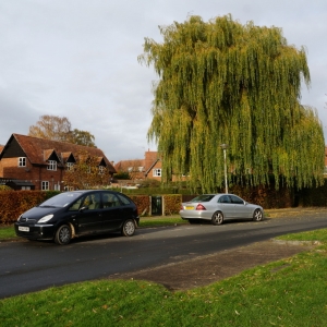 Houses_on_Chestnut_Grove,_New_Earswick,_York_-_geograph.org.uk_-_3747539