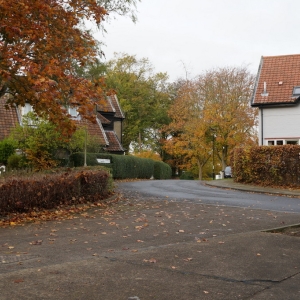 Houses_on_Western_Terrace,_New_Earswick,_York_-_geograph.org.uk_-_3747471