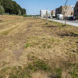 Gartennstadt Werdersee_Marcel Westhoff_DSC09602